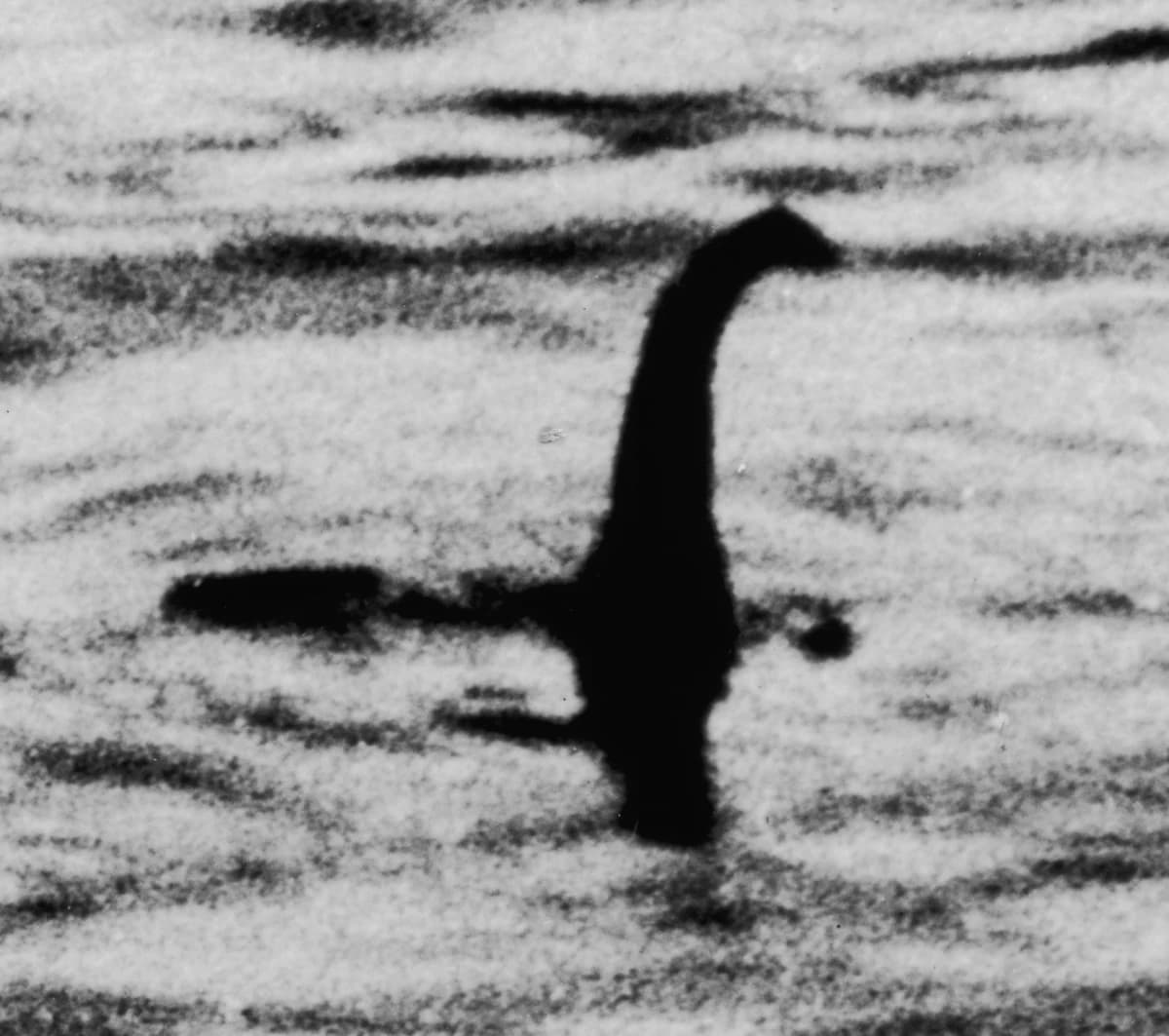 1934年に新聞で広まった外科医の写真。水面から首のようなものが出ているが、後に模型による偽造と説明された写真