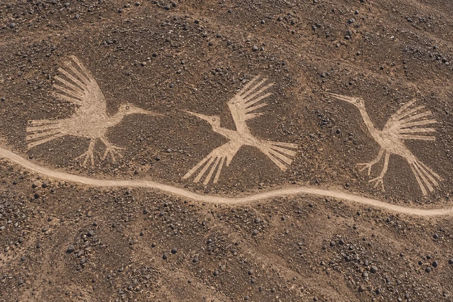 AIによる説明用イメージ。曲がる小道のそばに鳥の形の地上絵がまとまる