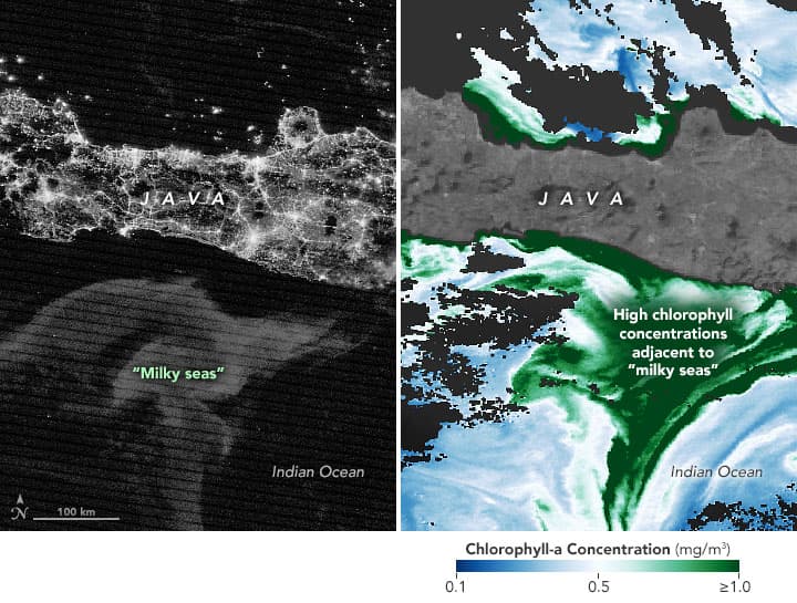 左はジャワ島南方の夜間発光域、右は同じ海域のクロロフィル量。発光域と緑の濃い場所は一致しない