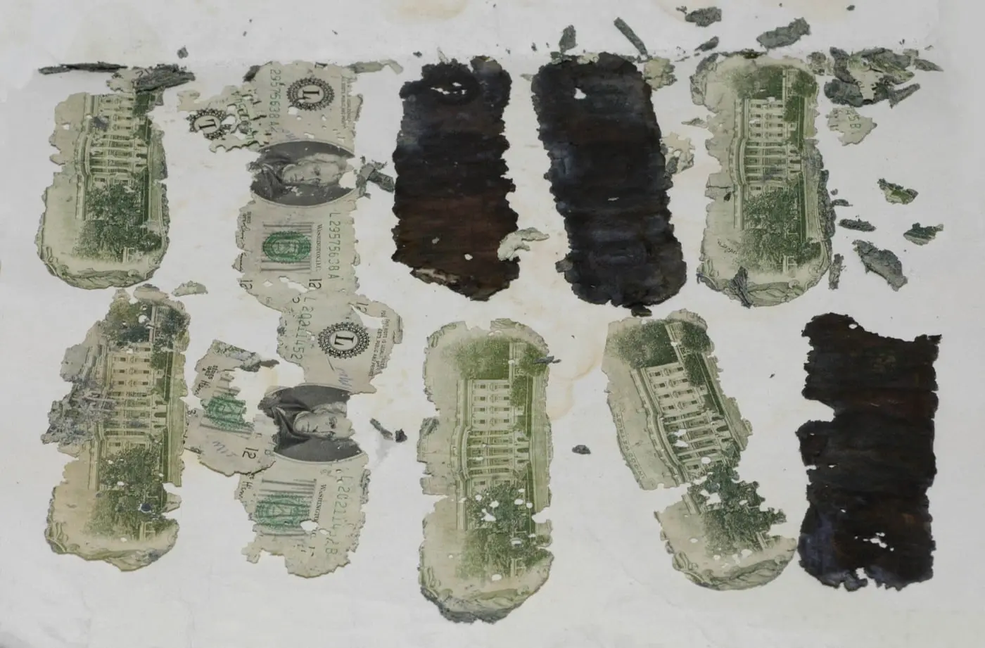 1980年に発見され、身代金の紙幣番号と一致した傷んだ20ドル札をFBIが公開した写真